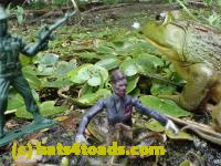 /home//u458753944/public_html/sourcegallery////Frogs/Bullfrogs 2016-08 Ontario/P8120061.JPG